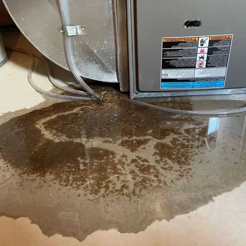 Pipe Burst and Leak Restoration in Hemphill County, TX