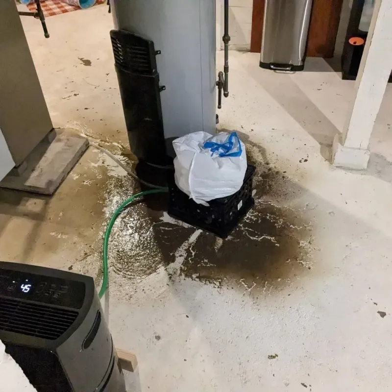Sewage Backup Cleanup Service in Hemphill County, TX